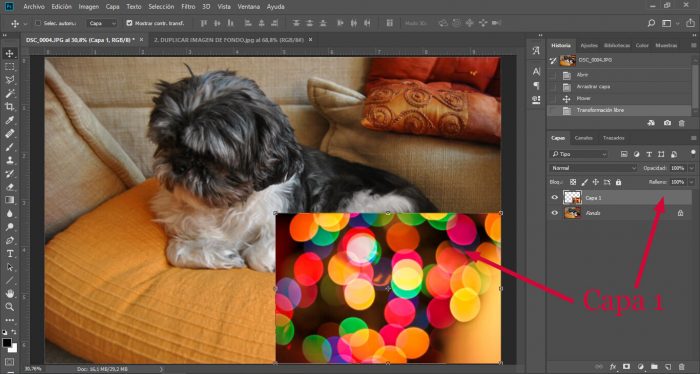 3. ABRIMOS IMAGEN CON TEXTURA EFECTO BOKEH - PASO 3