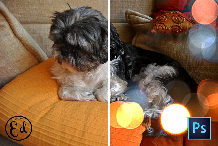 EFECTO BOKEH PHOTOSHOP EFECTO BOKEH PHOTOSHOP