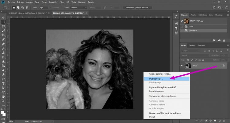 DUPLICAR CAPA